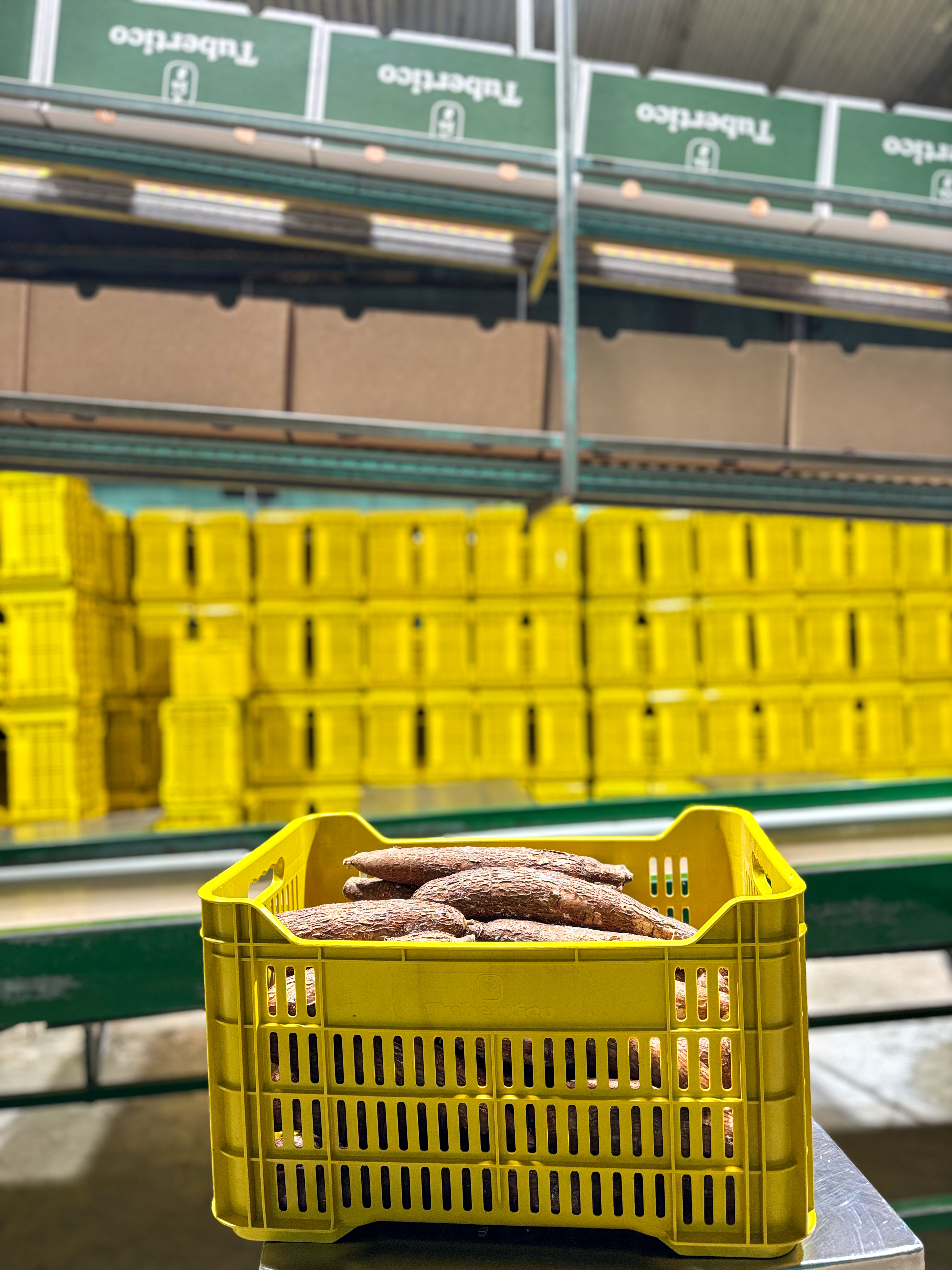 Compañía [[${iter.index+1}]]