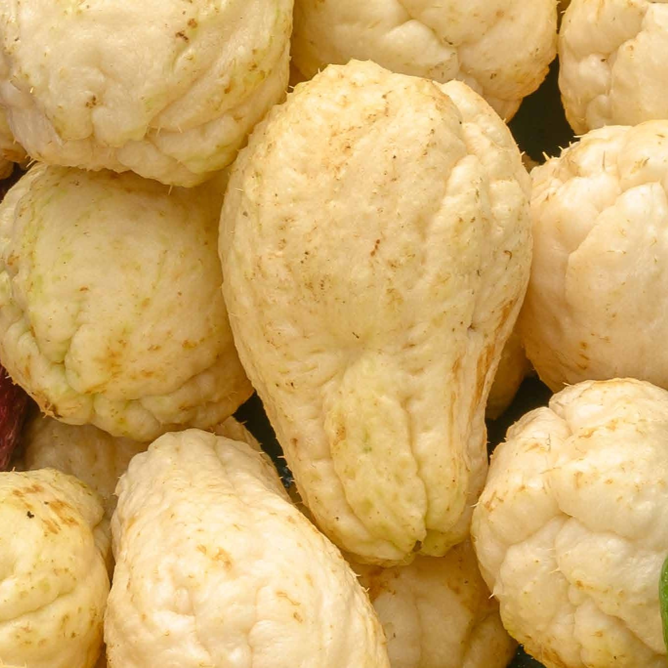 Chayote Blanco