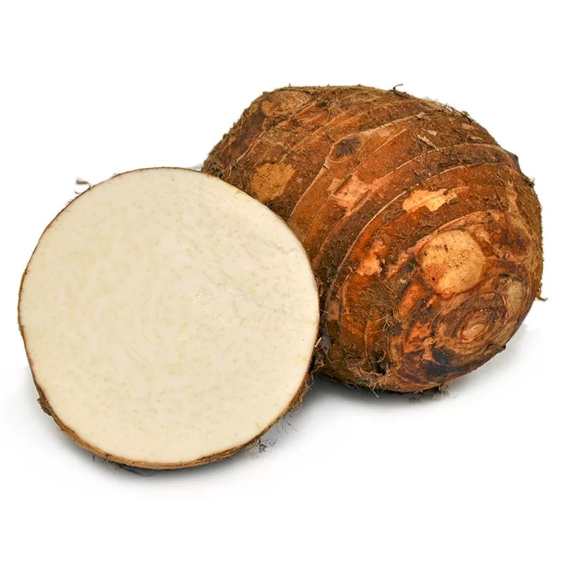 Malanga Blanca