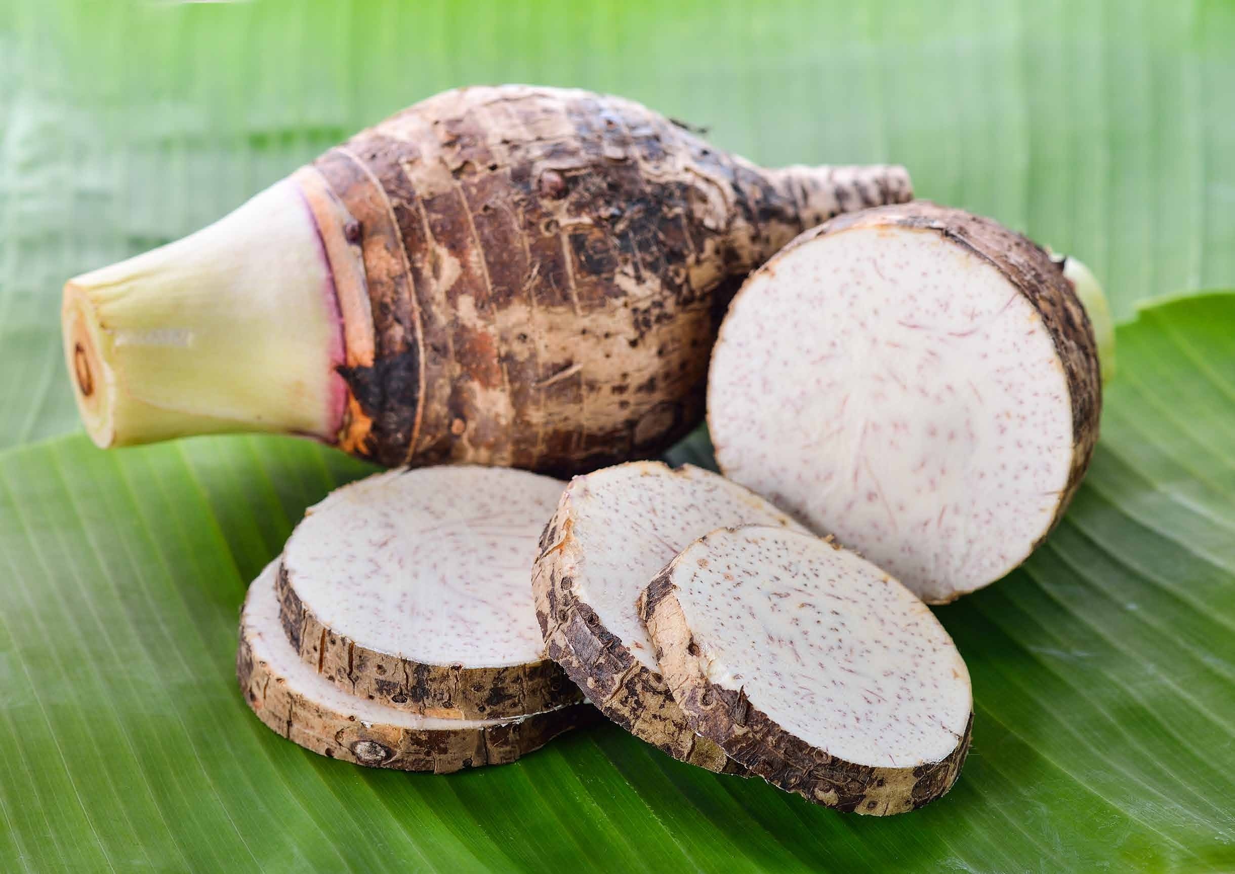 Malanga Lila